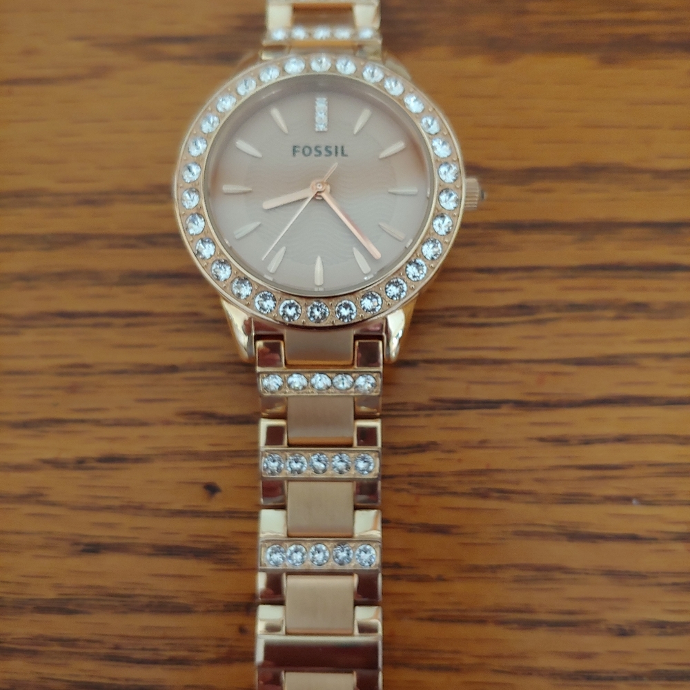 Beautiful Fossil Watch